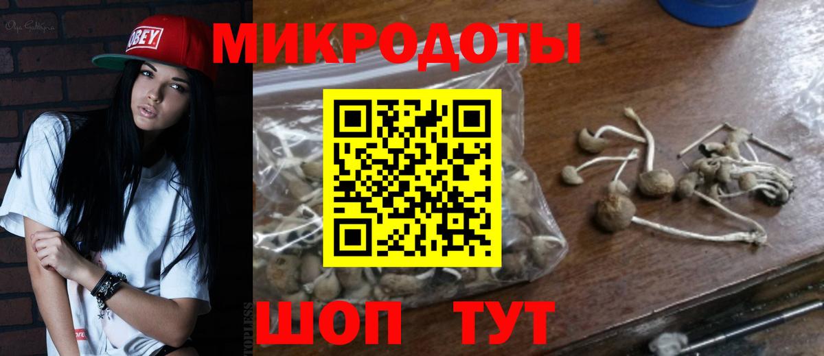 закладки  Вход с VPN  Кемерово  Псилоцибиновые грибы мухоморы 